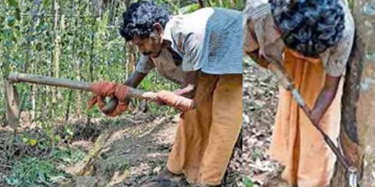 sreedharan-farmer-