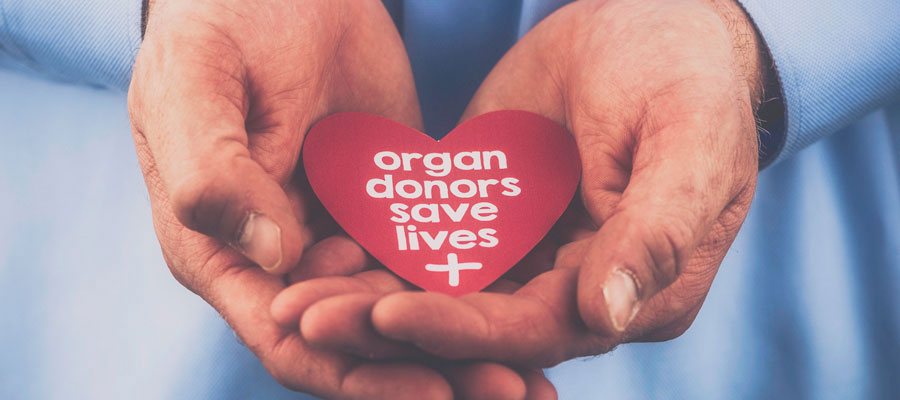 organ-doner