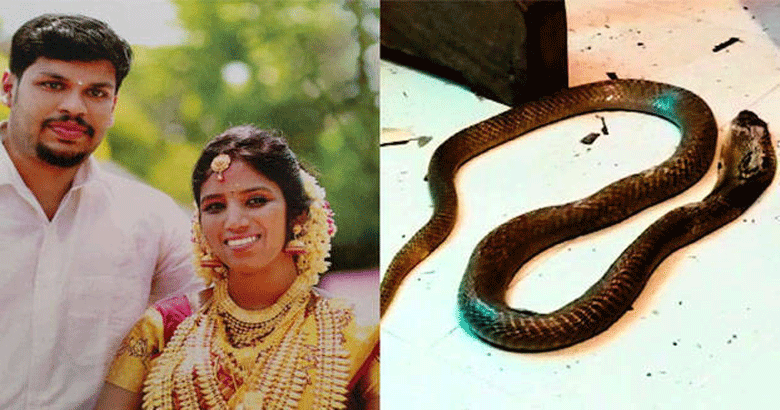 uthra murder | bignewskerala